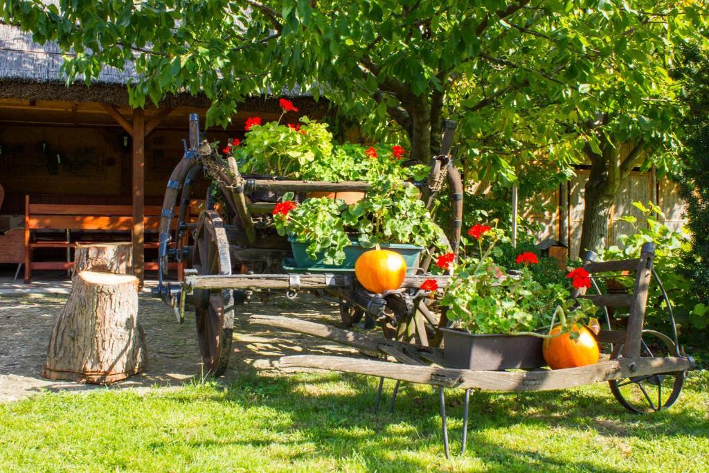 Kaktusz Villa Heviz Bagian luar foto